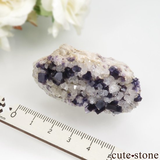 ڥ Berbes ѡץե饤ȡĸ No.26μ̿3 cute stone