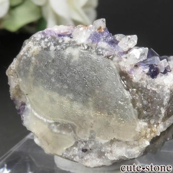 ڥ Berbes ѡץե饤ȡĸ No.27μ̿3 cute stone