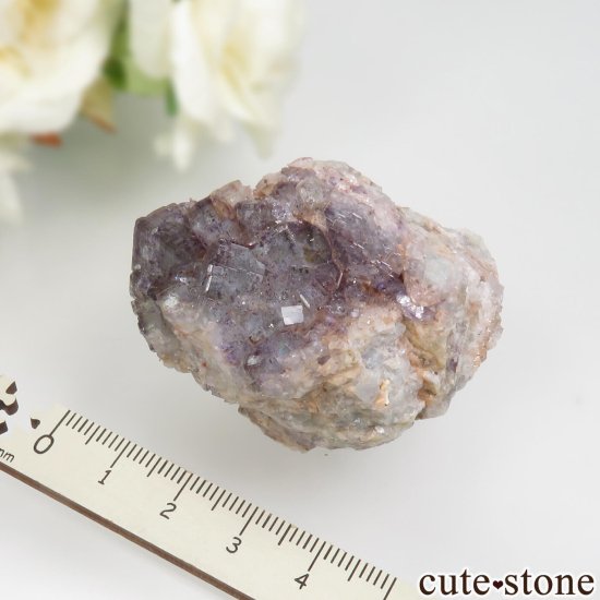 ɥ ReiBbuhl Mine ե饤ȡĤθ No.1μ̿3 cute stone