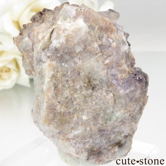 ɥ ReiBbuhl Mine ե饤ȡĤθ No.2μ̿0 cute stone