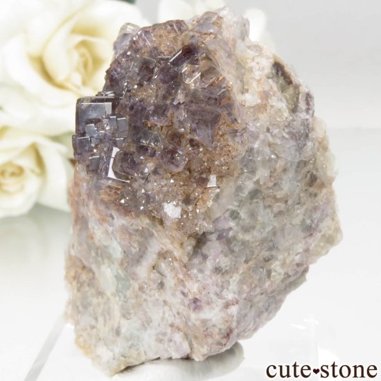 ɥ ReiBbuhl Mine ե饤ȡĤθ No.2μ̿1 cute stone