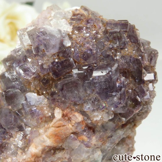 ɥ ReiBbuhl Mine ե饤ȡĤθ No.2μ̿2 cute stone