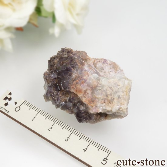 ɥ ReiBbuhl Mine ե饤ȡĤθ No.2μ̿3 cute stone