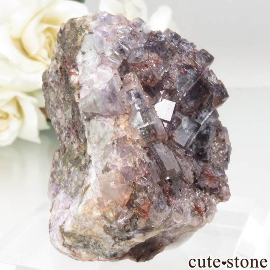ɥ ReiBbuhl Mine ե饤ȡĤθ No.3μ̿0 cute stone