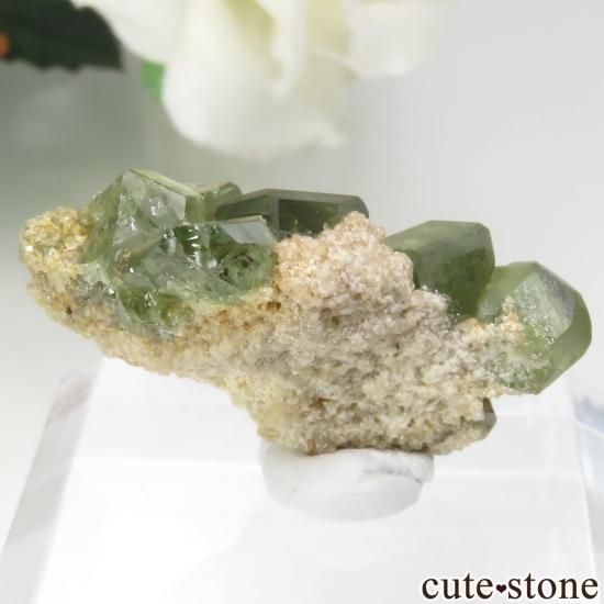 ޥ뻺ΥǥޥȥɥͥåȤη뾽 No.8μ̿1 cute stone