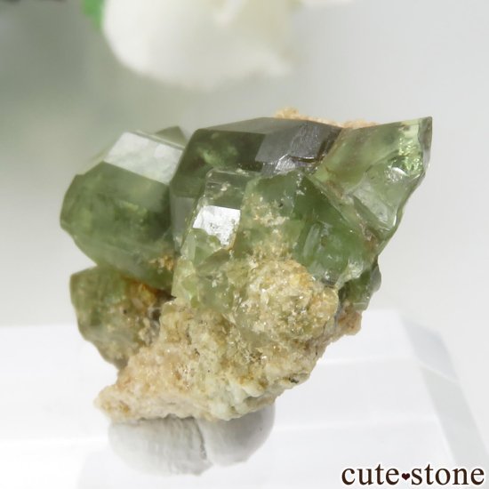 ޥ뻺ΥǥޥȥɥͥåȤη뾽 No.8μ̿2 cute stone