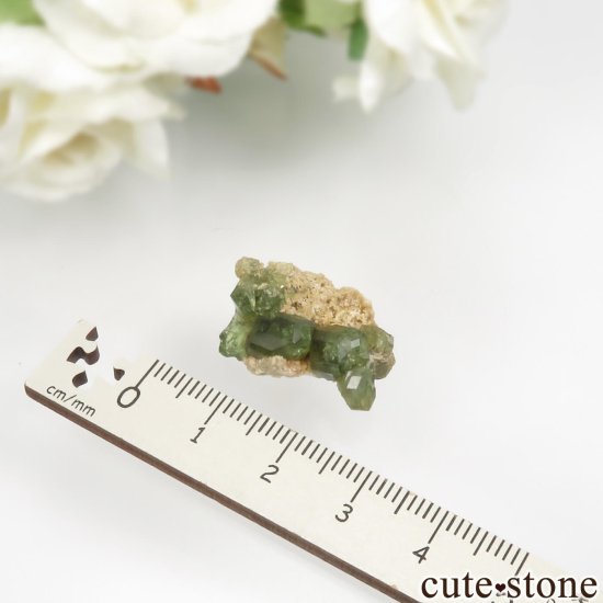 ޥ뻺ΥǥޥȥɥͥåȤη뾽 No.8μ̿3 cute stone