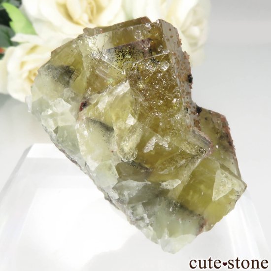 ɥ Niederschlag mine ե饤ȡġ륳ѥ饤Ȥθ No.1μ̿0 cute stone