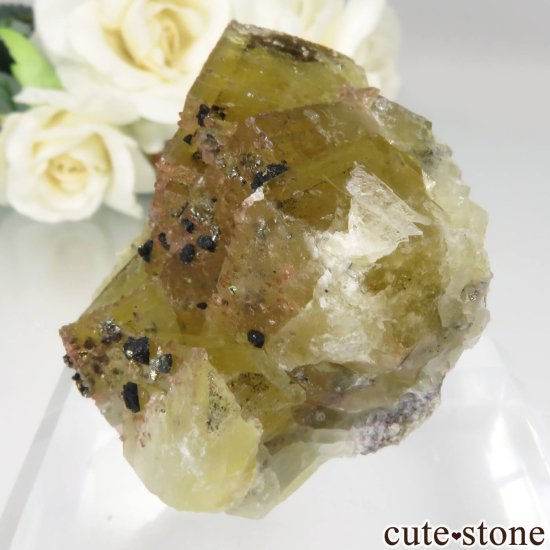ɥ Niederschlag mine ե饤ȡġ륳ѥ饤Ȥθ No.1μ̿2 cute stone