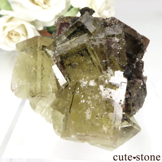 ɥ Niederschlag mine ե饤ȡġ륳ѥ饤Ȥθ No.2μ̿0 cute stone