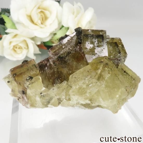 ɥ Niederschlag mine ե饤ȡġ륳ѥ饤Ȥθ No.2μ̿1 cute stone