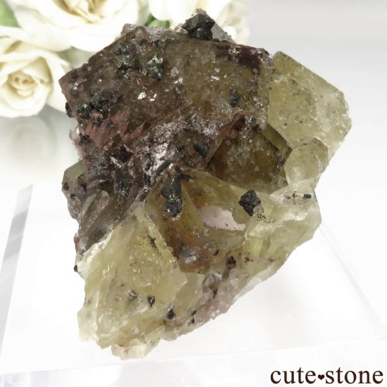 ɥ Niederschlag mine ե饤ȡġ륳ѥ饤Ȥθ No.2μ̿2 cute stone