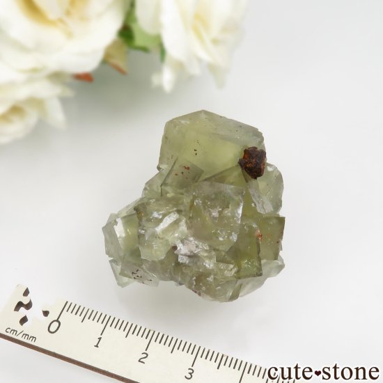 ɥ Niederschlag mine ե饤Ȥθ No.3μ̿6 cute stone