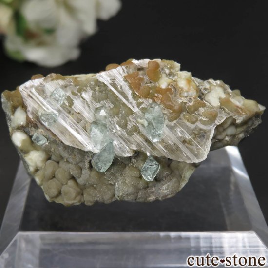  Kushk Mine եեե饤ȡץθСʴ̽դ No.1μ̿1 cute stone