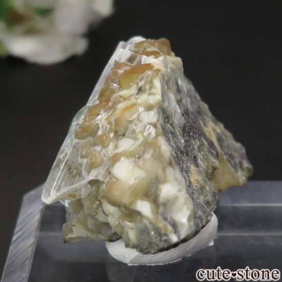  Kushk Mine եեե饤ȡץθСʴ̽դ No.1μ̿4 cute stone