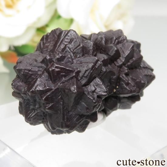  (ޡȲ˥ץȤ åȥȡ No.6μ̿1 cute stone