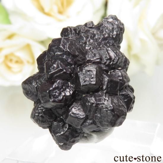  (ޡȲ˥ץȤ åȥȡ No.10μ̿1 cute stone