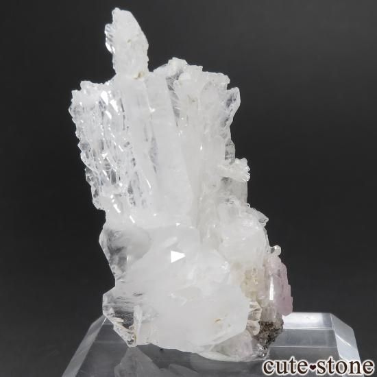 ѥ Balochistan եǥ󥯥ġѥ No.1μ̿1 cute stone