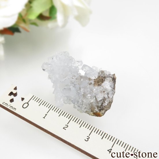 ꥫ ߥ󽣻 쥹Ȥθ No.1μ̿4 cute stone