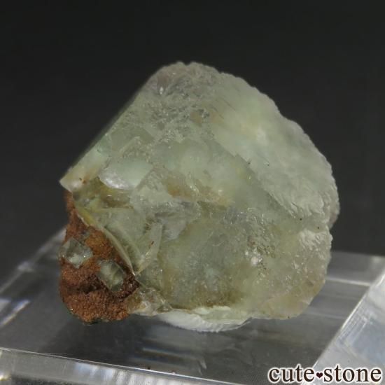 ꥫ ͥХ Mustang Mountain եȥꥰ꡼ե饤Ȥθ No.1μ̿0 cute stone