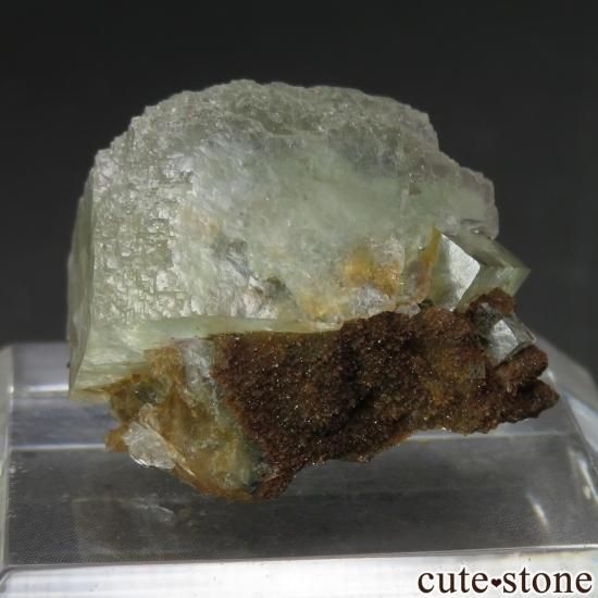 ꥫ ͥХ Mustang Mountain եȥꥰ꡼ե饤Ȥθ No.1μ̿1 cute stone