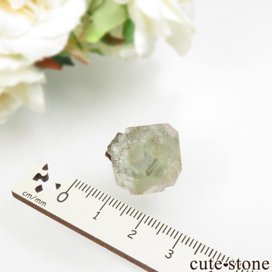 ꥫ ͥХ Mustang Mountain եȥꥰ꡼ե饤Ȥθ No.1μ̿4 cute stone