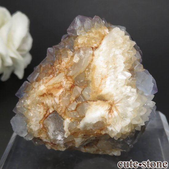 ꥫ ˥塼ᥭ Blanchard Mine ֥롼ե饤ȡĤθ No.19μ̿0 cute stone
