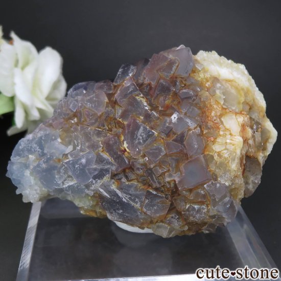 ꥫ ˥塼ᥭ Blanchard Mine ֥롼ե饤ȡĤθ No.19μ̿1 cute stone