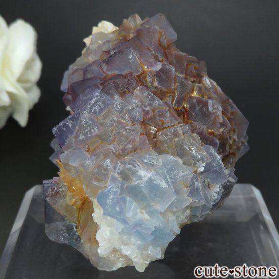 ꥫ ˥塼ᥭ Blanchard Mine ֥롼ե饤ȡĤθ No.19μ̿2 cute stone