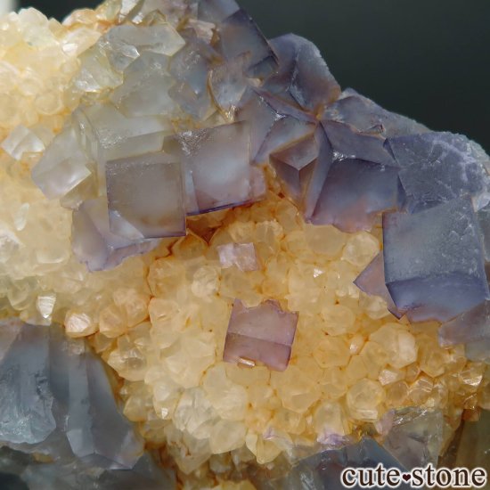 ꥫ ˥塼ᥭ Blanchard Mine ֥롼ե饤ȡĤθ No.19μ̿3 cute stone