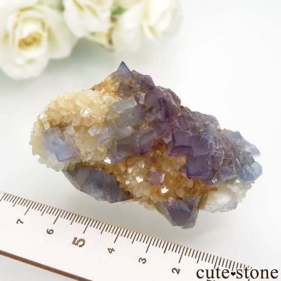 ꥫ ˥塼ᥭ Blanchard Mine ֥롼ե饤ȡĤθ No.19μ̿4 cute stone