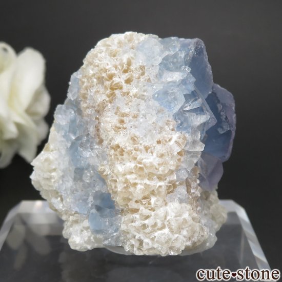 ꥫ ˥塼ᥭ Blanchard Mine ֥롼ե饤ȡĤθ No.21μ̿0 cute stone