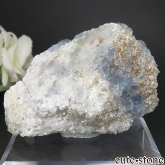 ꥫ ˥塼ᥭ Blanchard Mine ֥롼ե饤ȡĤθ No.21μ̿1 cute stone