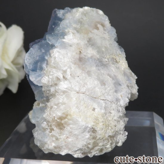 ꥫ ˥塼ᥭ Blanchard Mine ֥롼ե饤ȡĤθ No.21μ̿2 cute stone