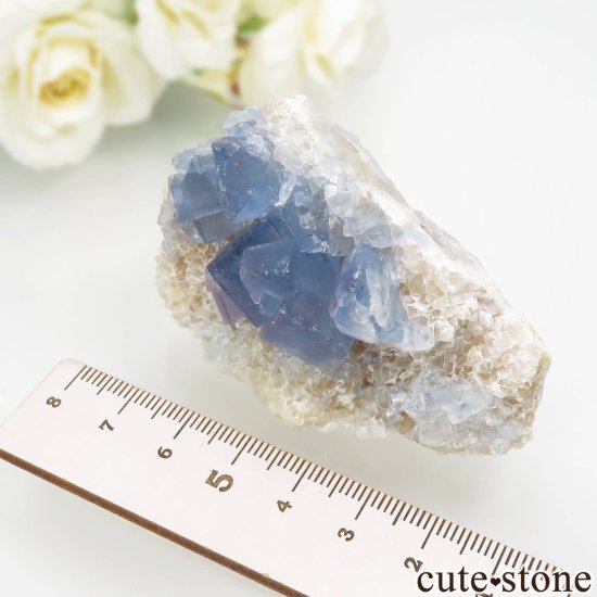 ꥫ ˥塼ᥭ Blanchard Mine ֥롼ե饤ȡĤθ No.21μ̿4 cute stone