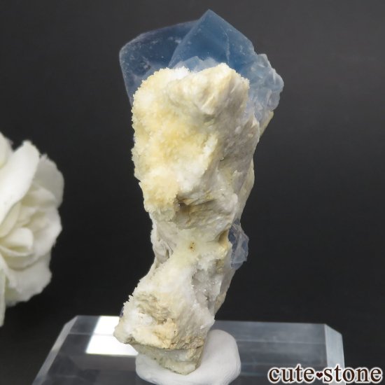 ꥫ ˥塼ᥭ Blanchard Mine ֥롼ե饤ȡĤθ No.22μ̿2 cute stone