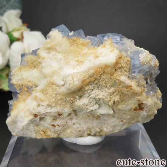 ꥫ ˥塼ᥭ Blanchard Mine ֥롼ե饤ȡĤθ No.23μ̿1 cute stone