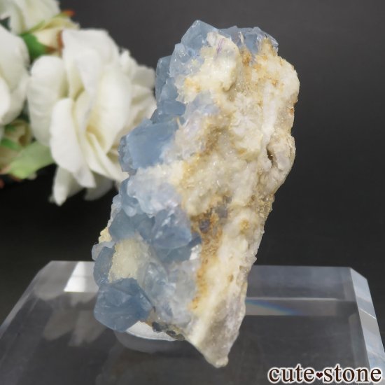ꥫ ˥塼ᥭ Blanchard Mine ֥롼ե饤ȡĤθ No.23μ̿2 cute stone
