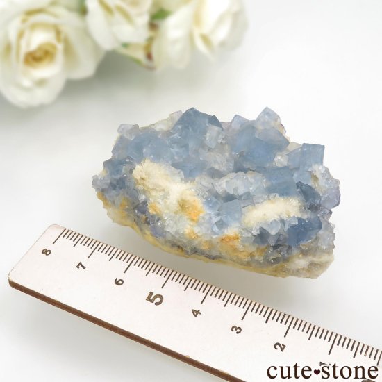 ꥫ ˥塼ᥭ Blanchard Mine ֥롼ե饤ȡĤθ No.23μ̿5 cute stone