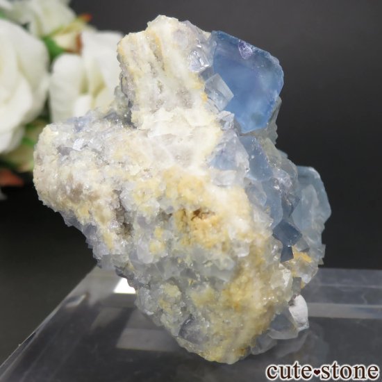 ꥫ ˥塼ᥭ Blanchard Mine ֥롼ե饤Ȥθ No.24μ̿0 cute stone