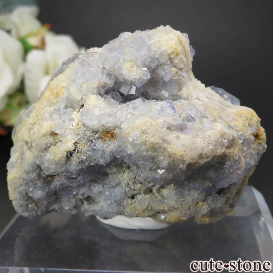 ꥫ ˥塼ᥭ Blanchard Mine ֥롼ե饤Ȥθ No.24μ̿1 cute stone