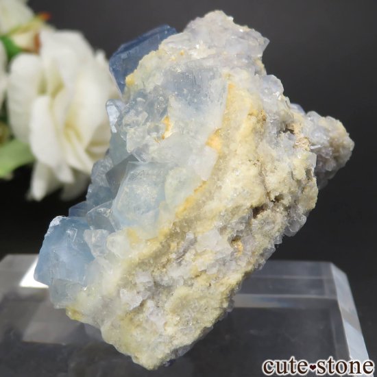 ꥫ ˥塼ᥭ Blanchard Mine ֥롼ե饤Ȥθ No.24μ̿2 cute stone
