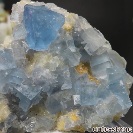 ꥫ ˥塼ᥭ Blanchard Mine ֥롼ե饤Ȥθ No.24μ̿3 cute stone