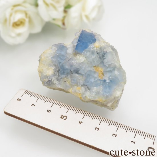 ꥫ ˥塼ᥭ Blanchard Mine ֥롼ե饤Ȥθ No.24μ̿5 cute stone