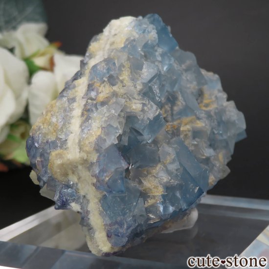 ꥫ ˥塼ᥭ Blanchard Mine ֥롼ե饤Ȥθ No.25μ̿0 cute stone