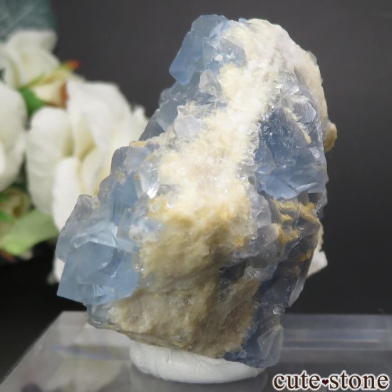 ꥫ ˥塼ᥭ Blanchard Mine ֥롼ե饤Ȥθ No.25μ̿2 cute stone