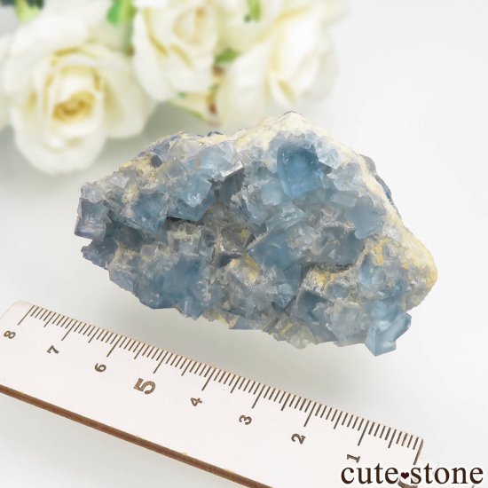 ꥫ ˥塼ᥭ Blanchard Mine ֥롼ե饤Ȥθ No.25μ̿6 cute stone