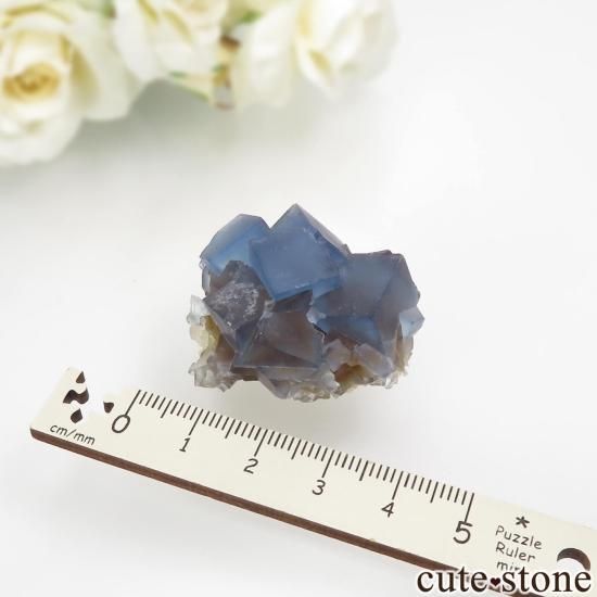 ꥫ ˥塼ᥭ Blanchard Mine ֥롼ե饤Ȥθ No.26μ̿3 cute stone