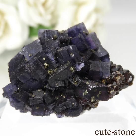 ꥫ Υ Cave-in-Rock ѡץ֥롼ե饤ȡե饤Ȥθ No.16μ̿1 cute stone