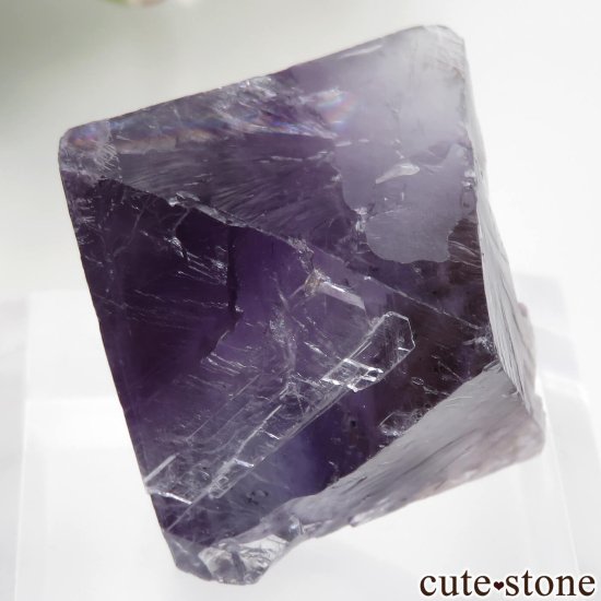 ꥫ Υ Cave-in-Rock ȬΡʤؤ뾽˥ե饤 No.22μ̿0 cute stone